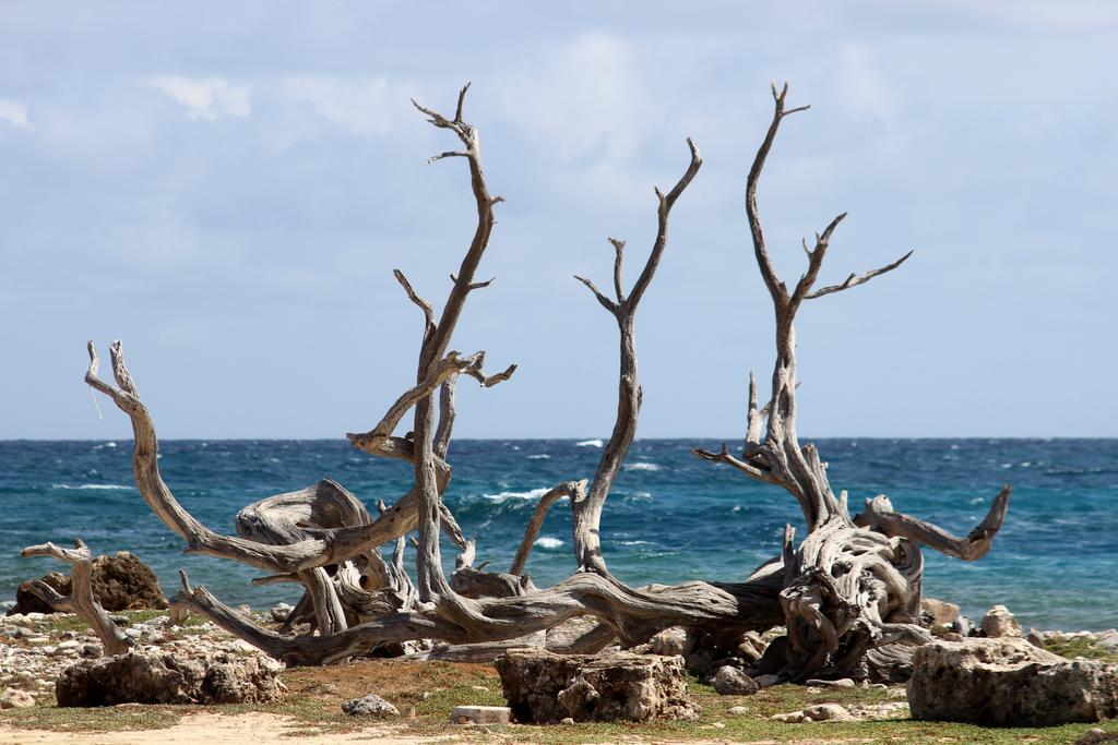 Wanapa Lodge Bonaire Eksteriør bilde