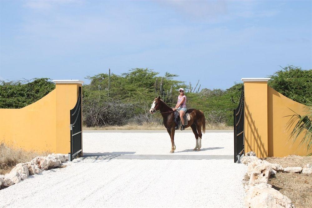 Wanapa Lodge Bonaire Eksteriør bilde